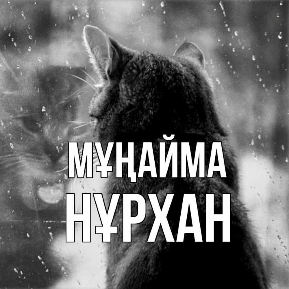 Күн сайын ашық хат с именем, НҰРХАН Мұңайма отражение кота 1 Онлайн тегін жүктеп алу тілектері бар керемет карта 