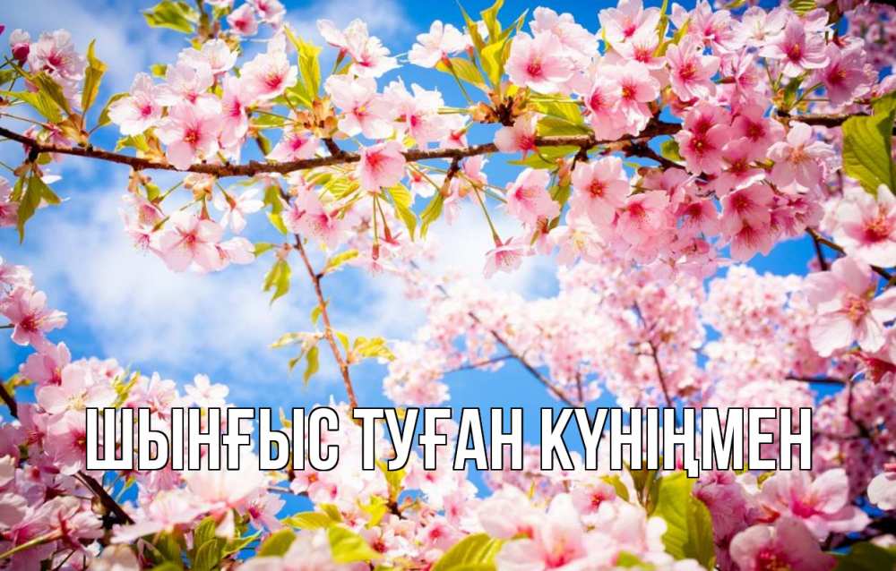 Картинка  с именем , ШЫНҒЫС! ТУҒАН КҮНІҢМЕН!