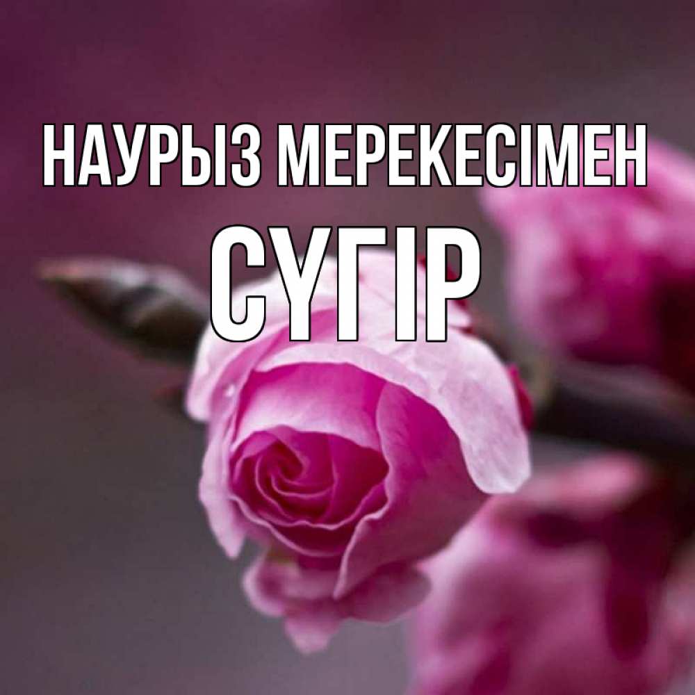 Күн сайын ашық хат с именем, СҮГІР Наурыз мерекесімен весна Онлайн тегін жүктеп алу тілектері бар керемет карта 