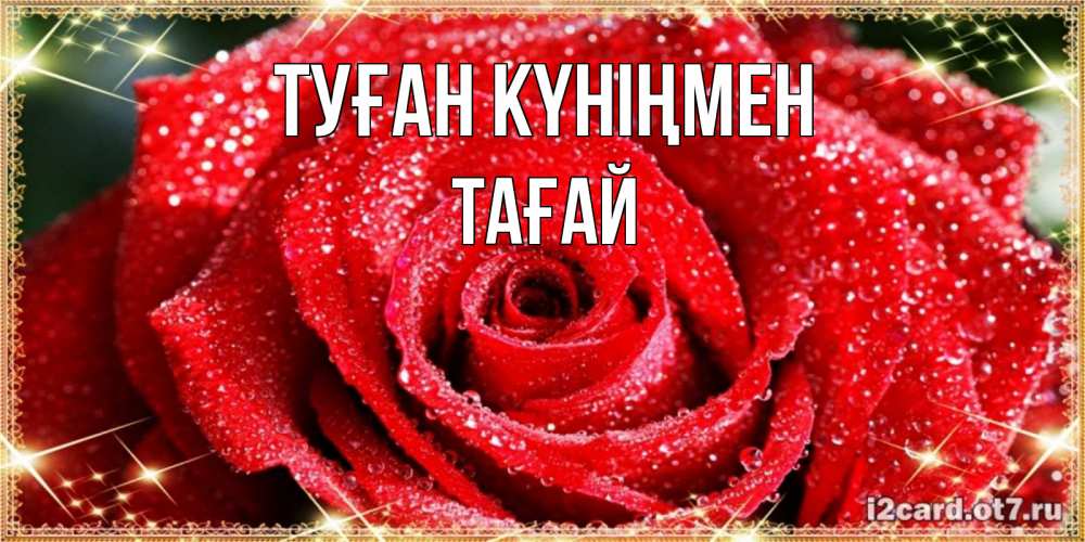 Күн сайын ашық хат с именем, ТАҒАЙ Туған күніңмен роса и роза. открытка с красивой розой Онлайн тегін жүктеп алу тілектері бар керемет карта 