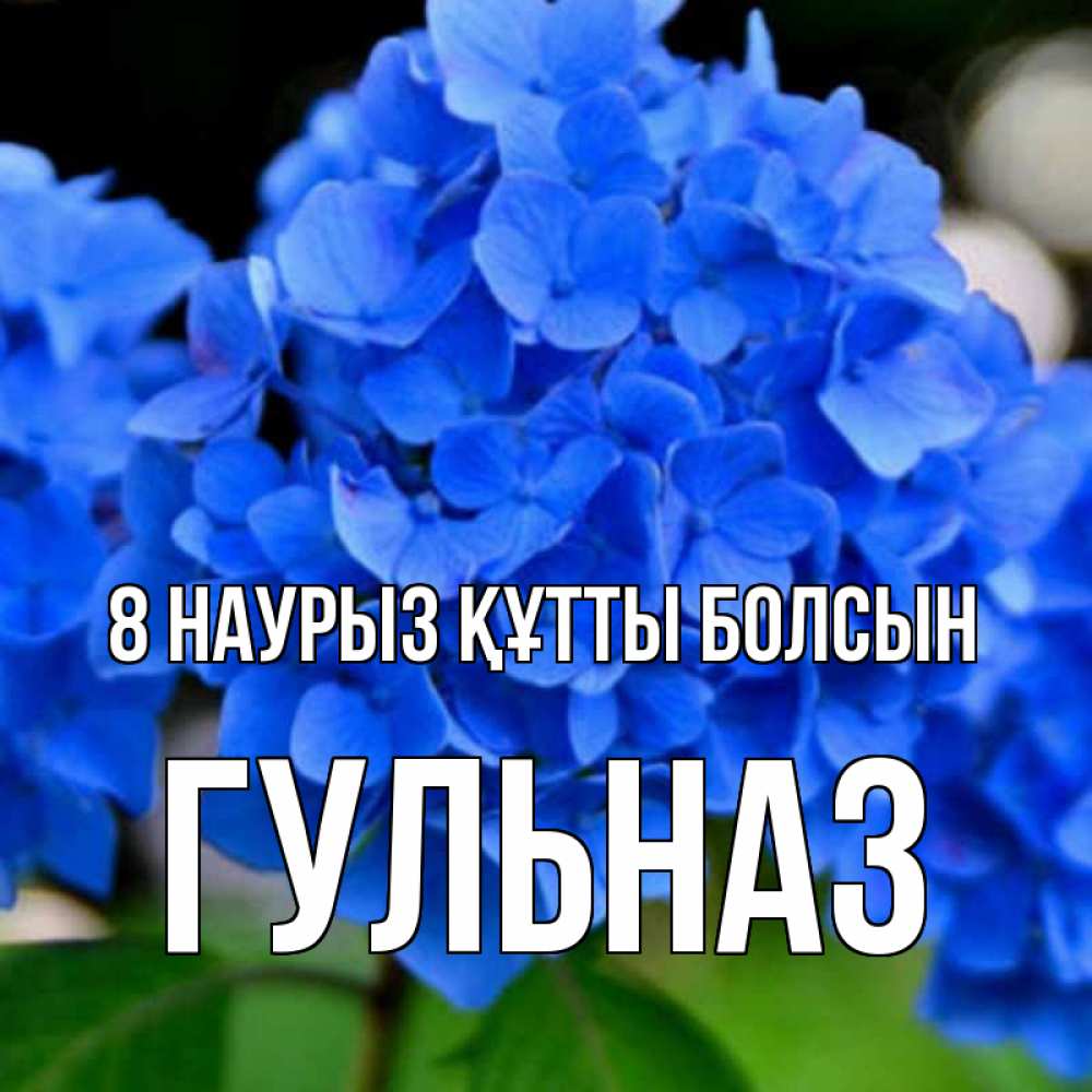 Күн сайын ашық хат с именем, Гульназ 8 наурыз құтты болсын синие цветы Онлайн тегін жүктеп алу тілектері бар керемет карта 
