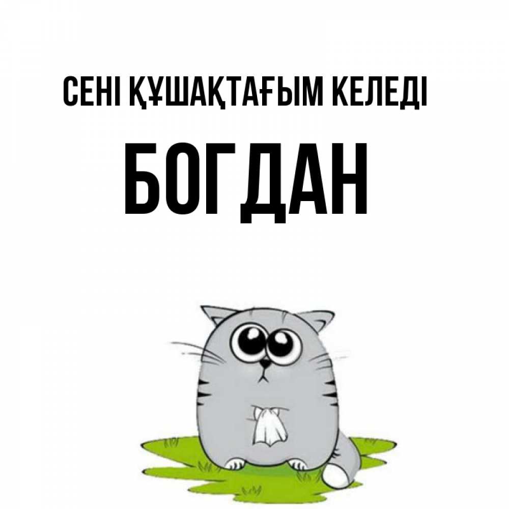 Күн сайын ашық хат с именем, Богдан сені құшақтағым келеді котик теребит платочек сидя на травке Онлайн тегін жүктеп алу тілектері бар керемет карта 