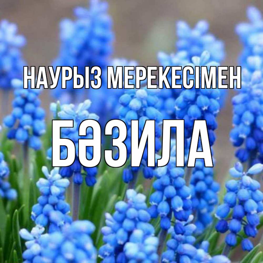 Күн сайын ашық хат с именем, БӘЗИЛА Наурыз мерекесімен Поздравительная открытка для женщин с цветами на праздничную дату Онлайн тегін жүктеп алу тілектері бар керемет карта 