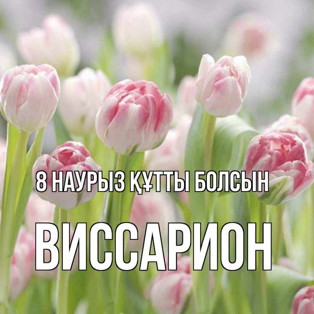 Күн сайын ашық хат с именем, Виссарион 8 наурыз құтты болсын цветы Онлайн тегін жүктеп алу тілектері бар керемет карта 