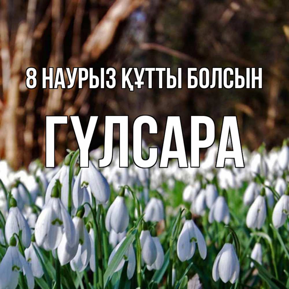 Күн сайын ашық хат с именем, ГҮЛСАРА 8 наурыз құтты болсын с подснежниками 1 Онлайн тегін жүктеп алу тілектері бар керемет карта 