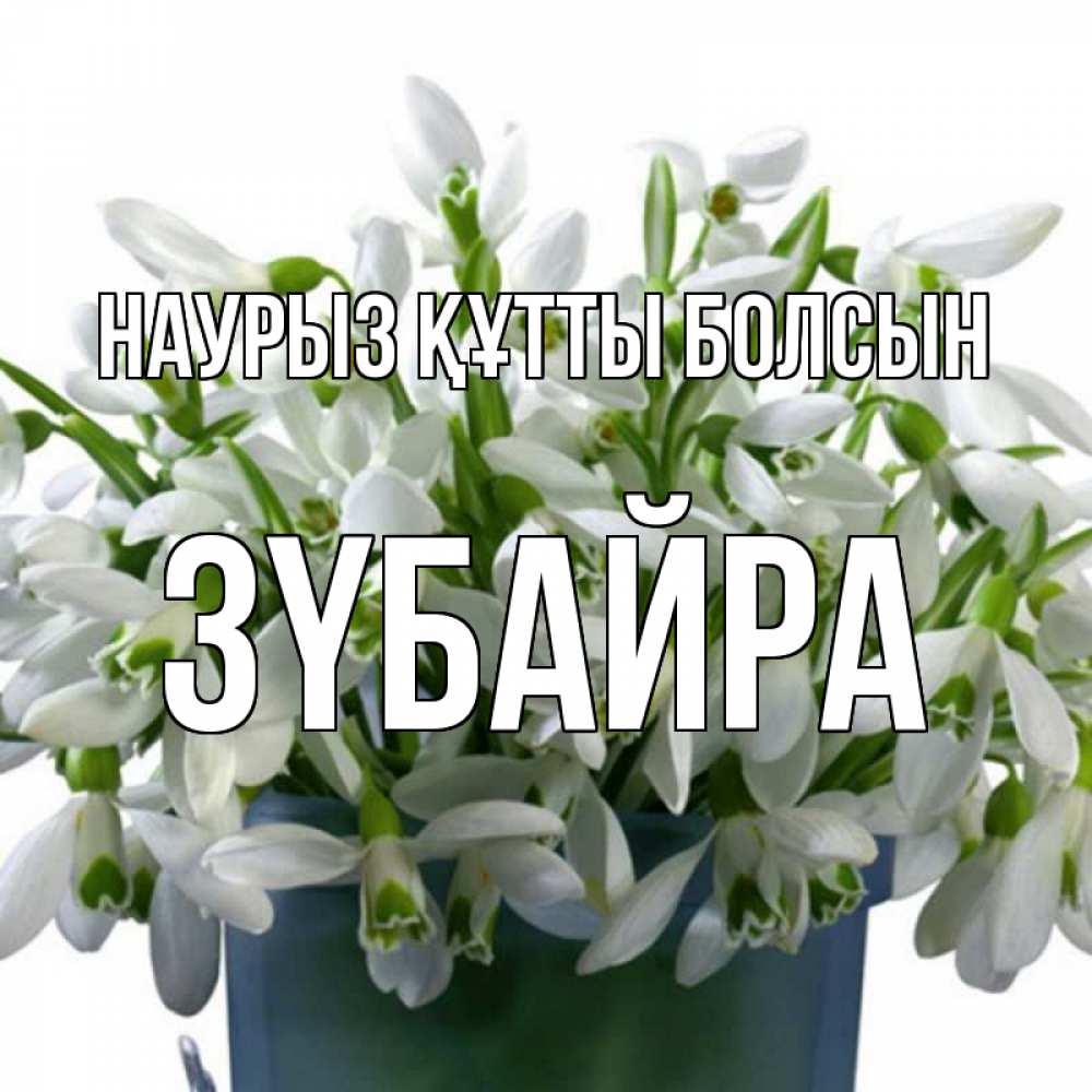 Күн сайын ашық хат с именем, ЗҮБАЙРА Наурыз құтты болсын цветы к наурызу Онлайн тегін жүктеп алу тілектері бар керемет карта 