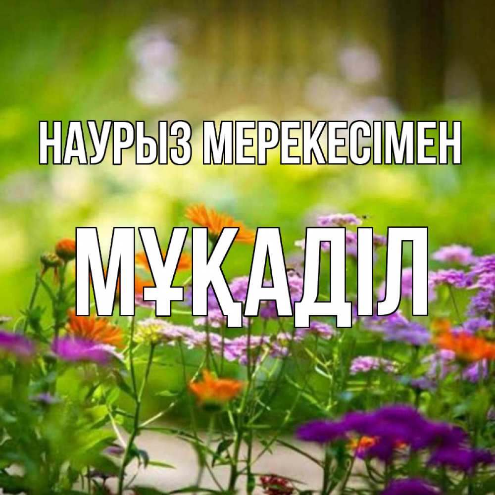 Күн сайын ашық хат с именем, МҰҚАДІЛ Наурыз мерекесімен цветы Онлайн тегін жүктеп алу тілектері бар керемет карта 