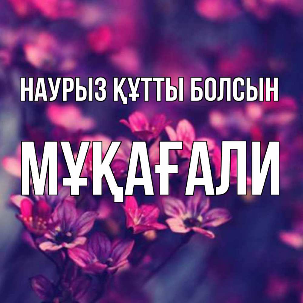 Күн сайын ашық хат с именем, МҰҚАҒАЛИ Наурыз құтты болсын небольшие цветы 1 Онлайн тегін жүктеп алу тілектері бар керемет карта 