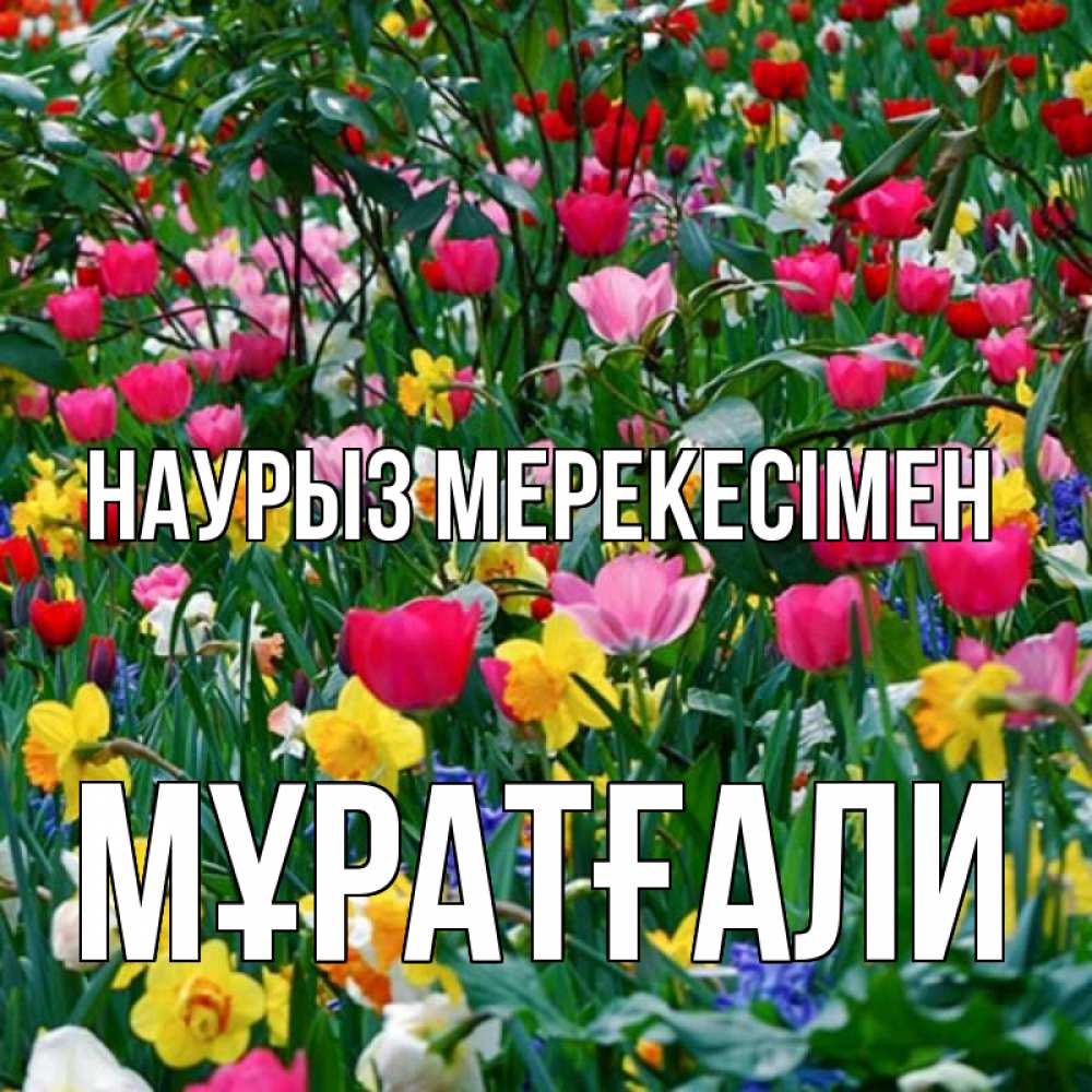 Күн сайын ашық хат с именем, Мұратғали Наурыз мерекесімен с наурызом праздником весны поздравления для женщины Онлайн тегін жүктеп алу тілектері бар керемет карта 