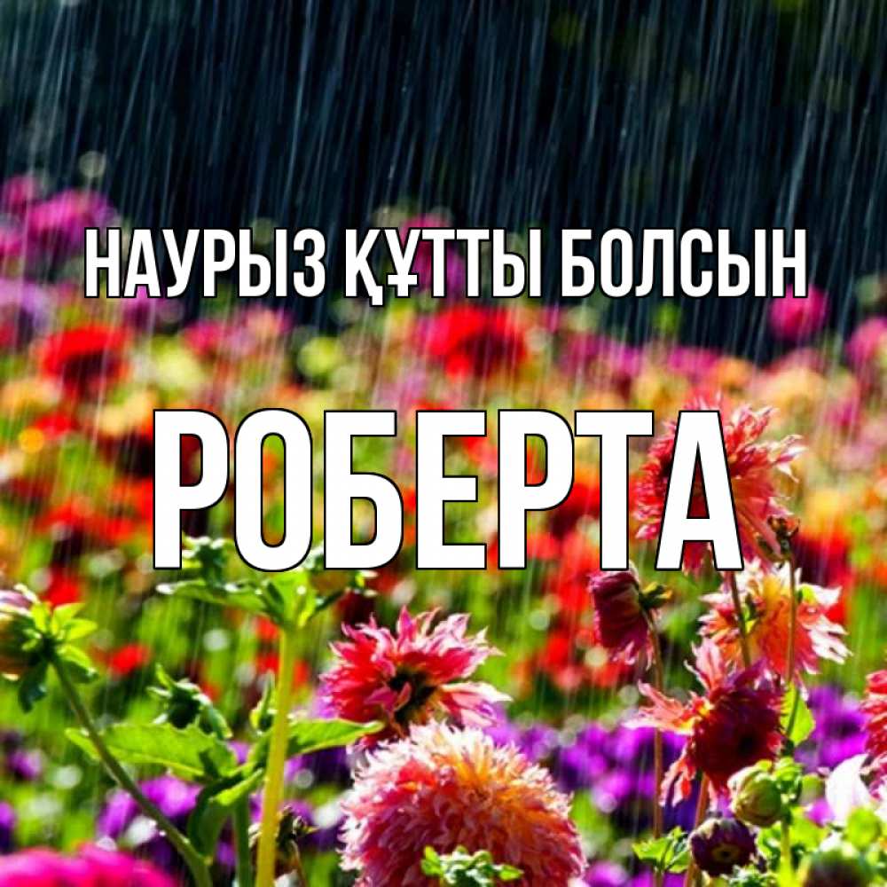 Күн сайын ашық хат с именем, Роберта Наурыз құтты болсын цветы под дождиком к наурызу Онлайн тегін жүктеп алу тілектері бар керемет карта 