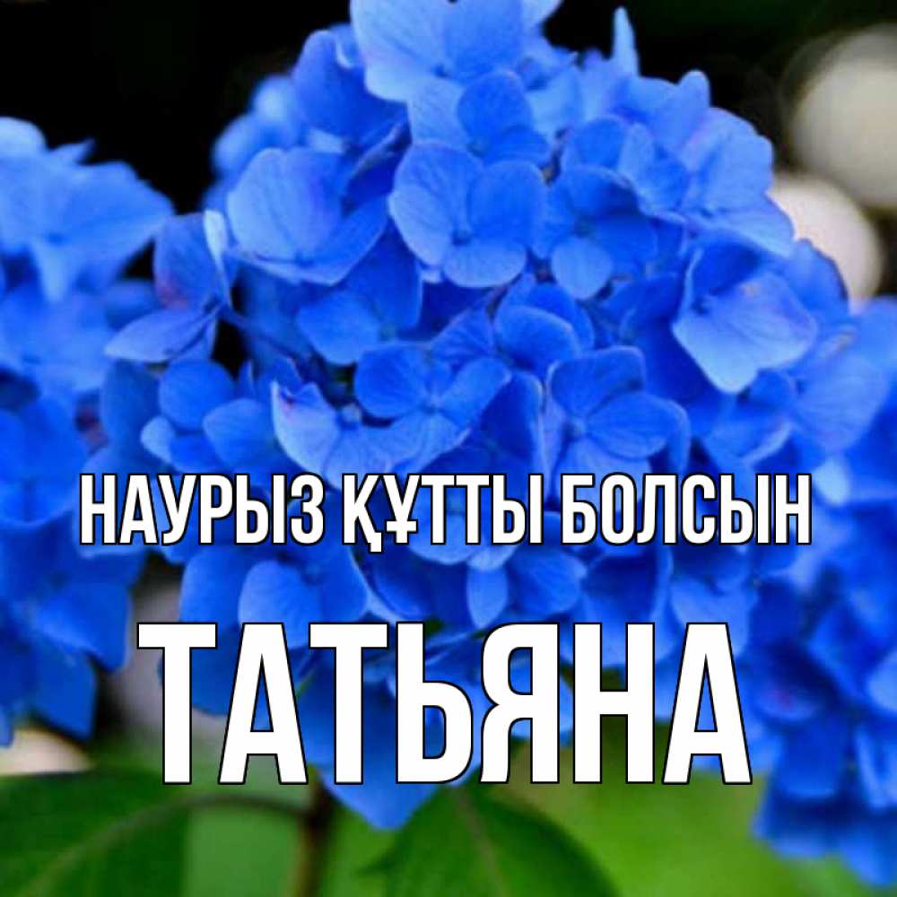 Күн сайын ашық хат с именем, Татьяна Наурыз құтты болсын синие цветы Онлайн тегін жүктеп алу тілектері бар керемет карта 