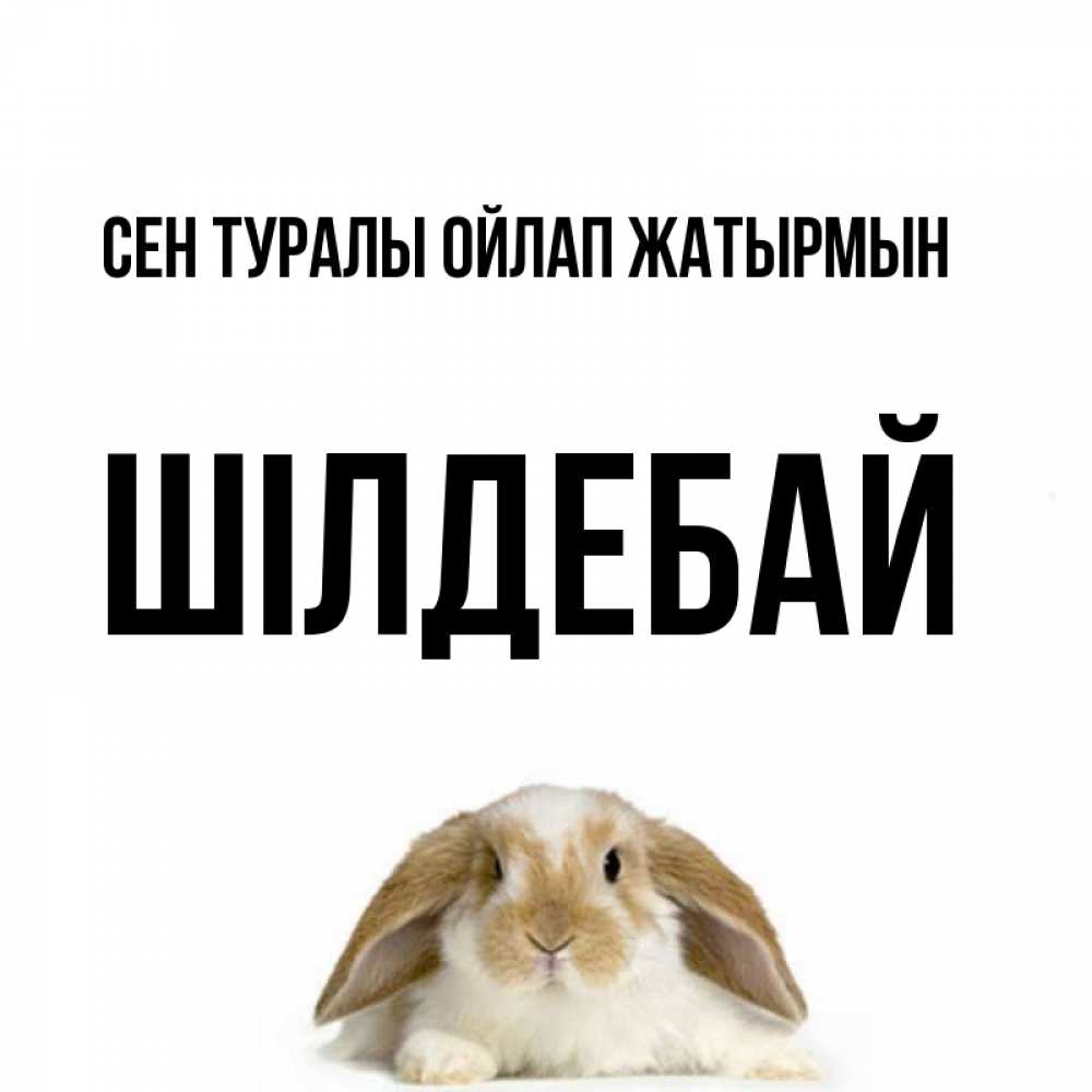 Күн сайын ашық хат с именем, ШІЛДЕБАЙ Сен туралы ойлап жатырмын подписать своими руками онлайн Онлайн тегін жүктеп алу тілектері бар керемет карта 