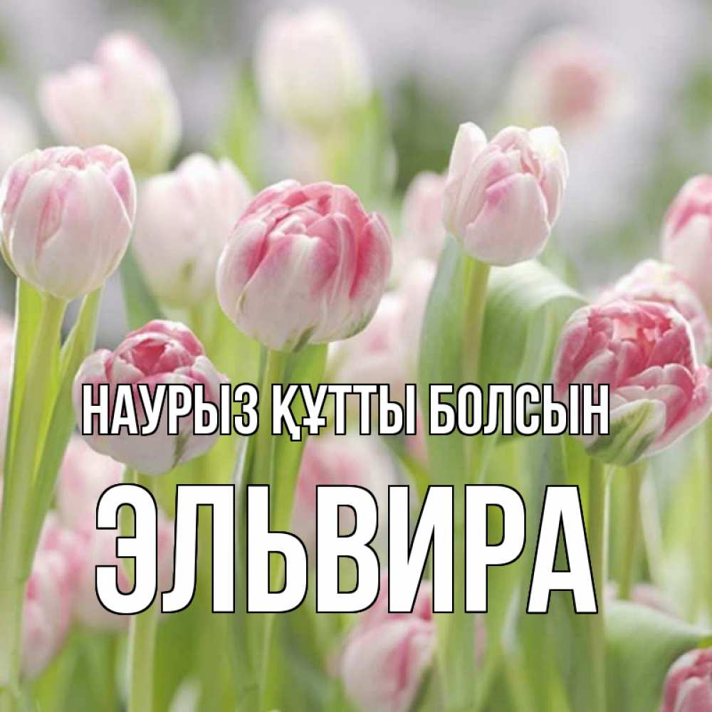 Күн сайын ашық хат с именем, Эльвира Наурыз құтты болсын цветы Онлайн тегін жүктеп алу тілектері бар керемет карта 