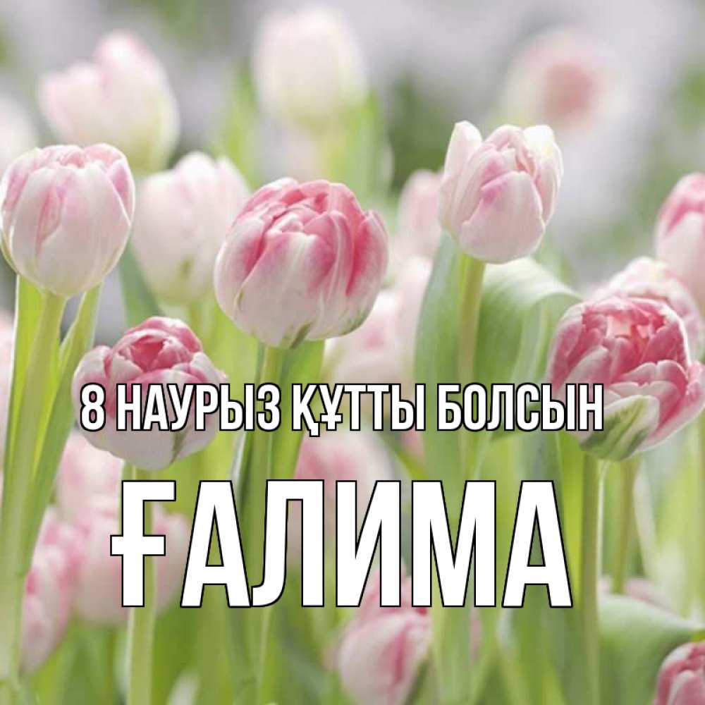 Күн сайын ашық хат с именем, ҒАЛИМА 8 наурыз құтты болсын цветы Онлайн тегін жүктеп алу тілектері бар керемет карта 