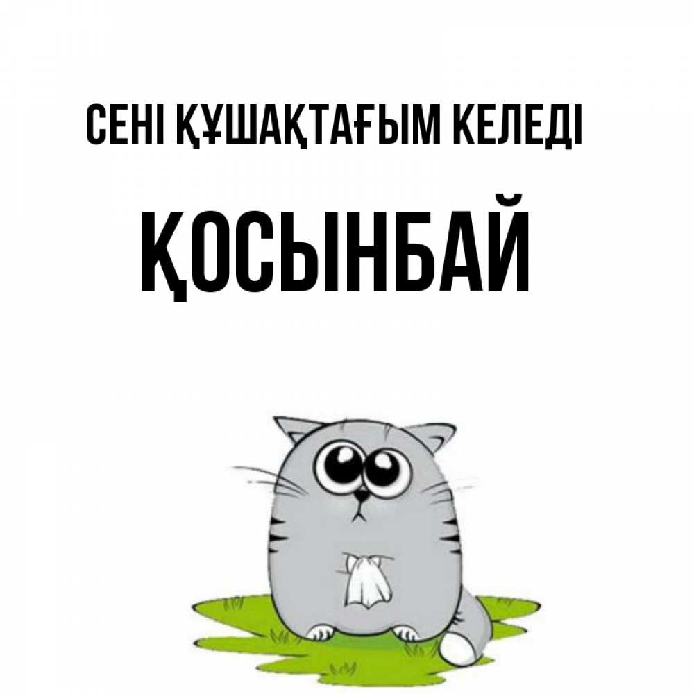 Күн сайын ашық хат с именем, ҚОСЫНБАЙ сені құшақтағым келеді котик теребит платочек сидя на травке Онлайн тегін жүктеп алу тілектері бар керемет карта 