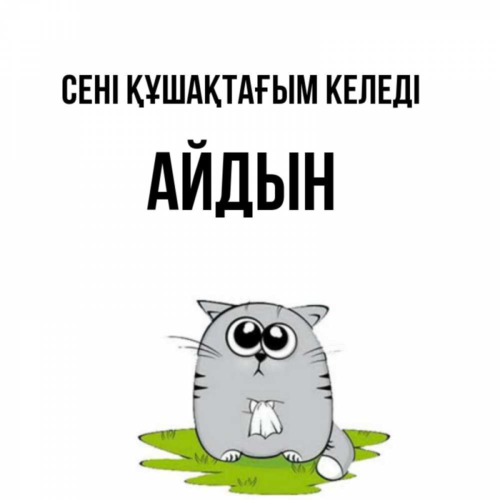 Күн сайын ашық хат с именем, Айдын сені құшақтағым келеді котик теребит платочек сидя на травке Онлайн тегін жүктеп алу тілектері бар керемет карта 