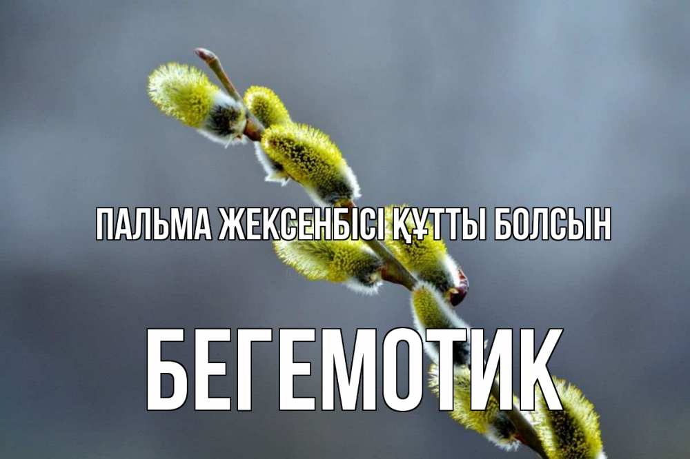 Күн сайын ашық хат с именем, Бегемотик Пальма жексенбісі құтты болсын верба Онлайн тегін жүктеп алу тілектері бар керемет карта 