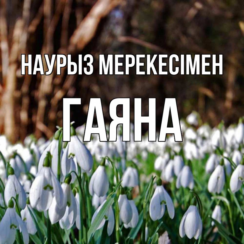 Күн сайын ашық хат с именем, ГАЯНА Наурыз мерекесімен с подснежниками 1 Онлайн тегін жүктеп алу тілектері бар керемет карта 