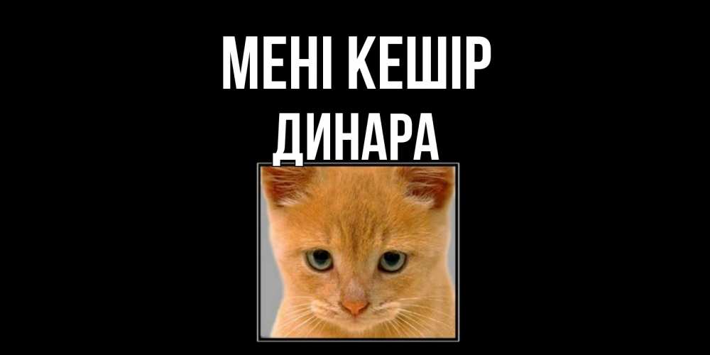 Күн сайын ашық хат с именем, ДИНАРА Мені кешір рыжий грустный кот просит прощения Онлайн тегін жүктеп алу тілектері бар керемет карта 