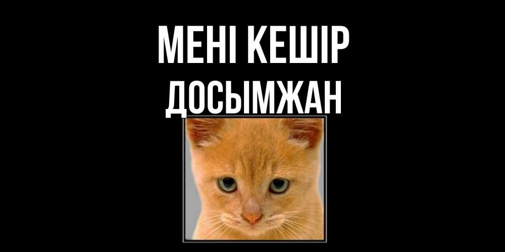 Күн сайын ашық хат с именем, Досымжан Мені кешір рыжий грустный кот просит прощения Онлайн тегін жүктеп алу тілектері бар керемет карта 