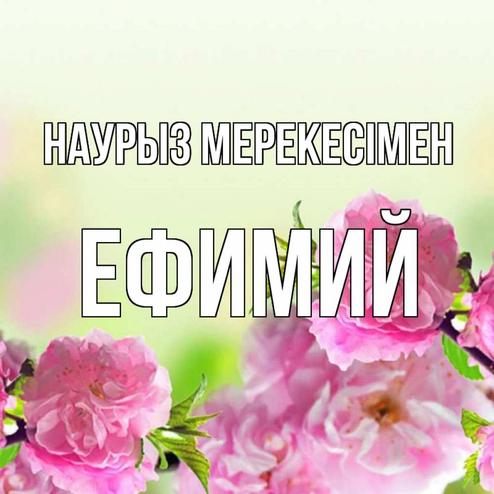 Күн сайын ашық хат с именем, Ефимий Наурыз мерекесімен цветы Онлайн тегін жүктеп алу тілектері бар керемет карта 
