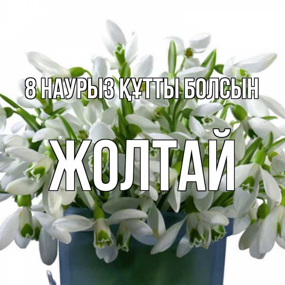 Күн сайын ашық хат с именем, Жолтай 8 наурыз құтты болсын цветы к международному женскому дню Онлайн тегін жүктеп алу тілектері бар керемет карта 
