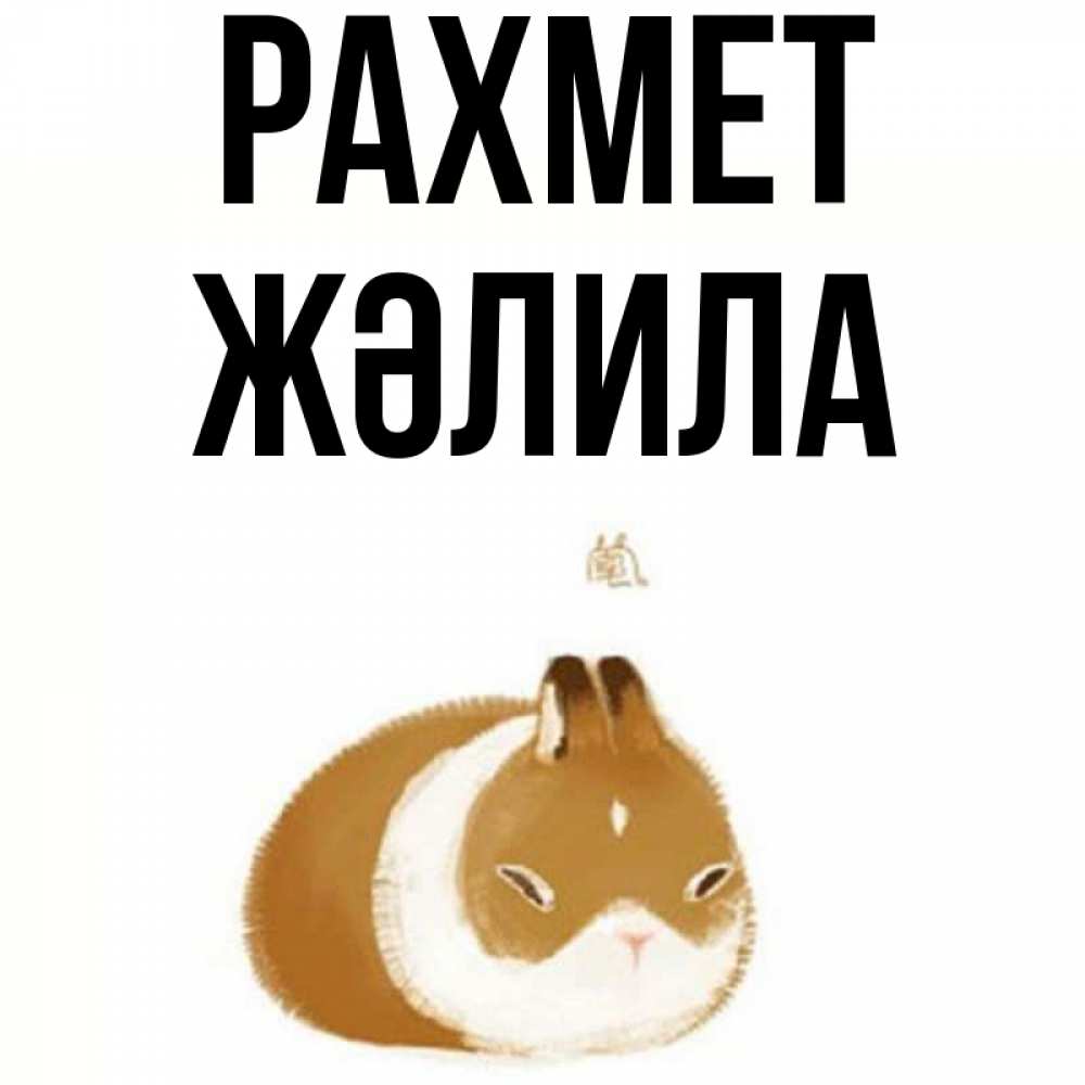Күн сайын ашық хат с именем, ЖӘЛИЛА рахмет коричнево белый домашний питомец Онлайн тегін жүктеп алу тілектері бар керемет карта 