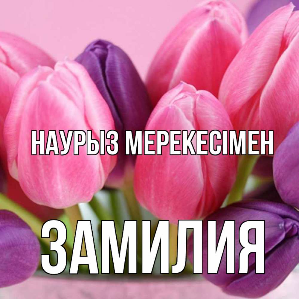 Күн сайын ашық хат с именем, ЗАМИЛИЯ Наурыз мерекесімен маме 1 Онлайн тегін жүктеп алу тілектері бар керемет карта 