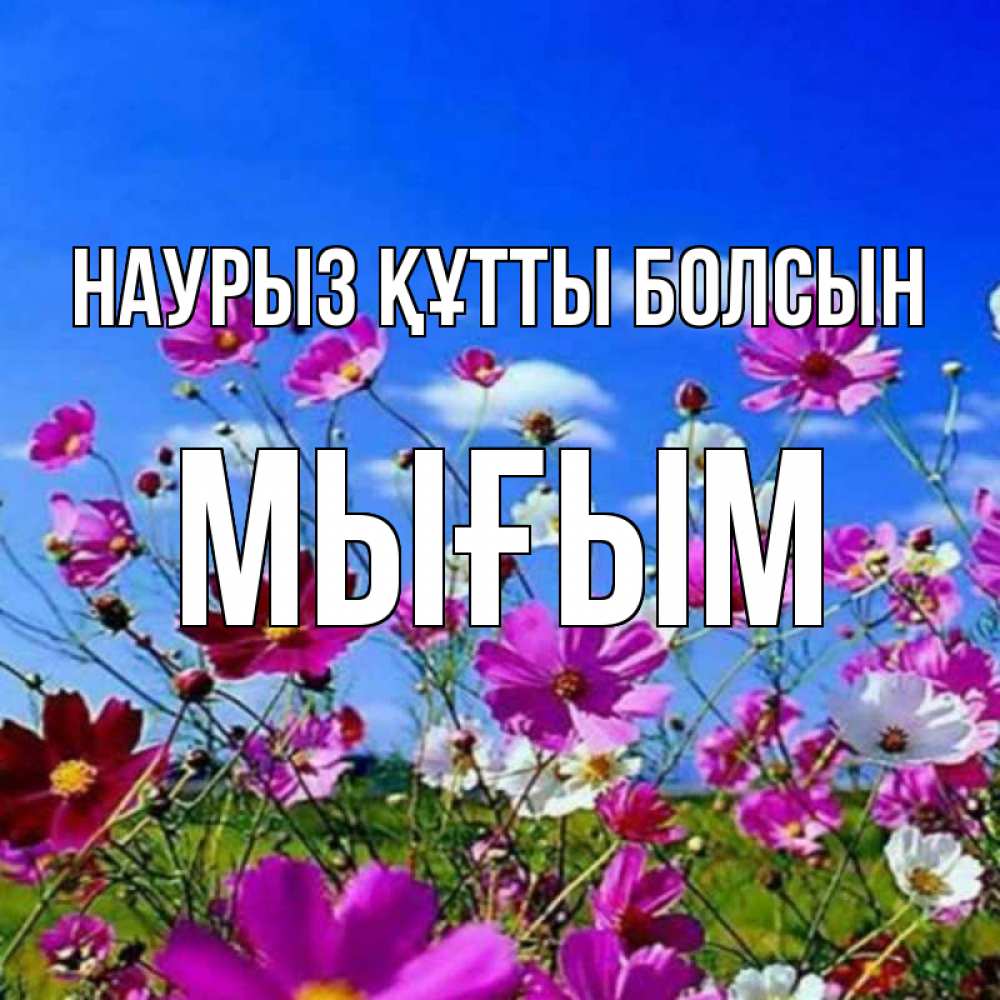 Күн сайын ашық хат с именем, МЫҒЫМ Наурыз құтты болсын цветы Онлайн тегін жүктеп алу тілектері бар керемет карта 