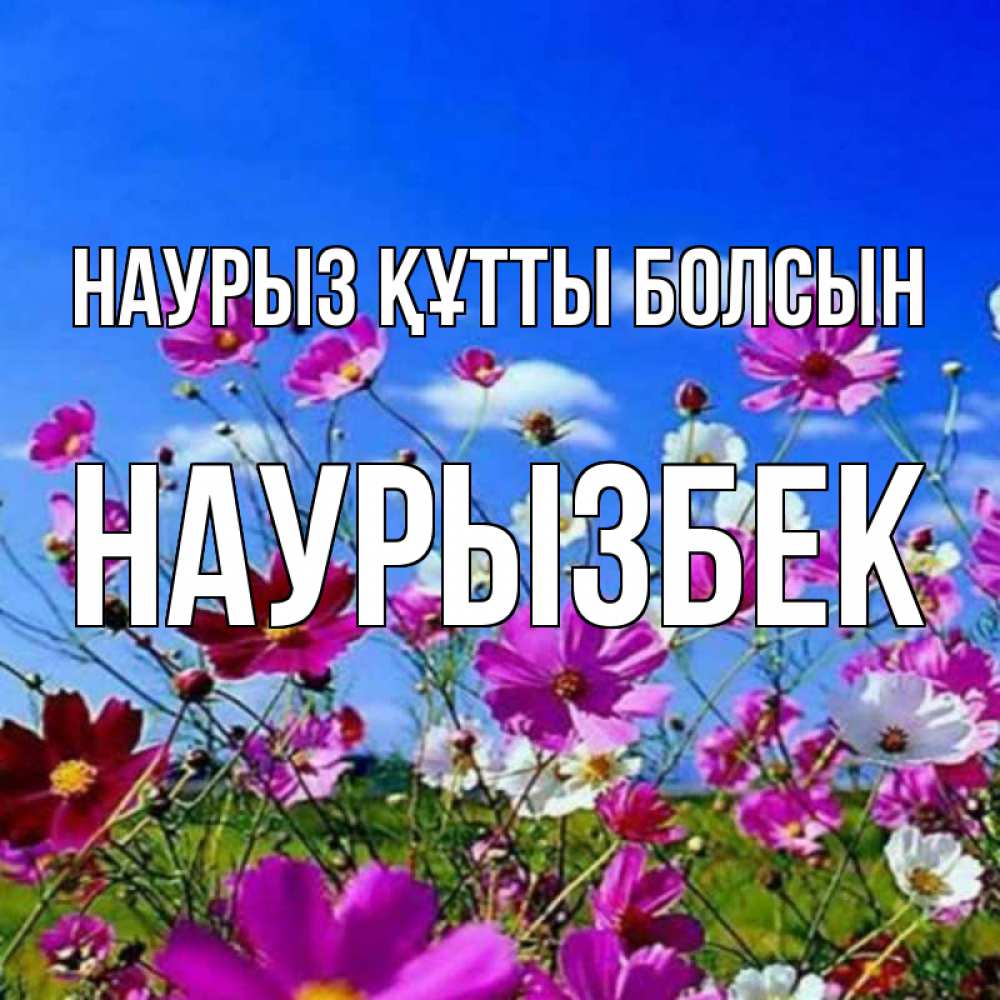 Күн сайын ашық хат с именем, Наурызбек Наурыз құтты болсын цветы Онлайн тегін жүктеп алу тілектері бар керемет карта 