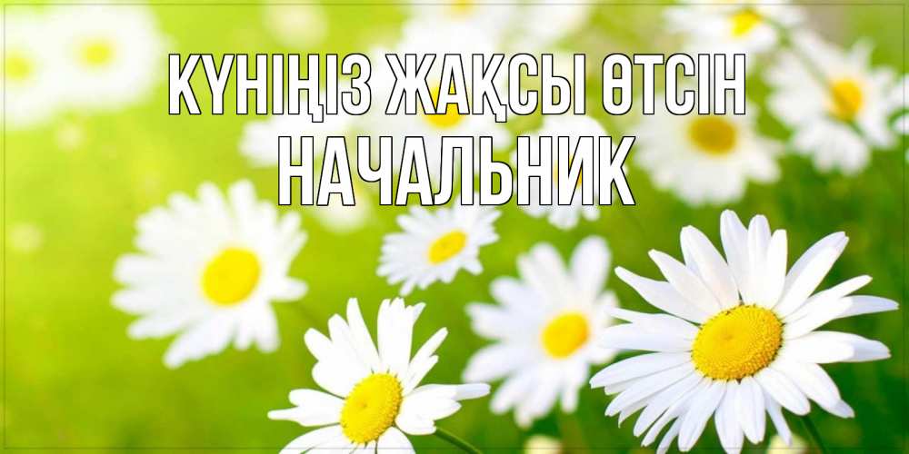 Күн сайын ашық хат с именем, Начальник Күніңіз жақсы өтсін открытка с ромашками на зеленом фоне Онлайн тегін жүктеп алу тілектері бар керемет карта 