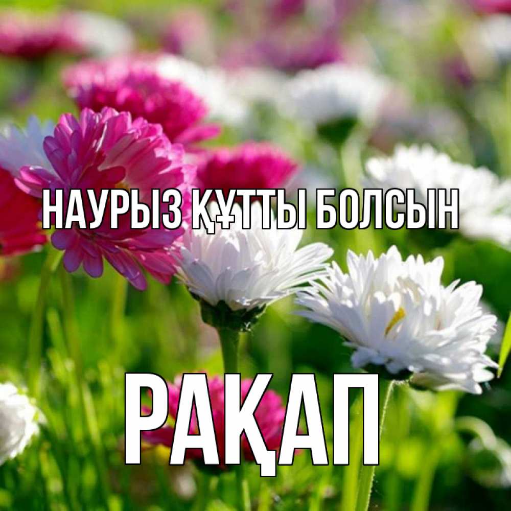 Күн сайын ашық хат с именем, РАҚАП Наурыз құтты болсын наурыз Онлайн тегін жүктеп алу тілектері бар керемет карта 