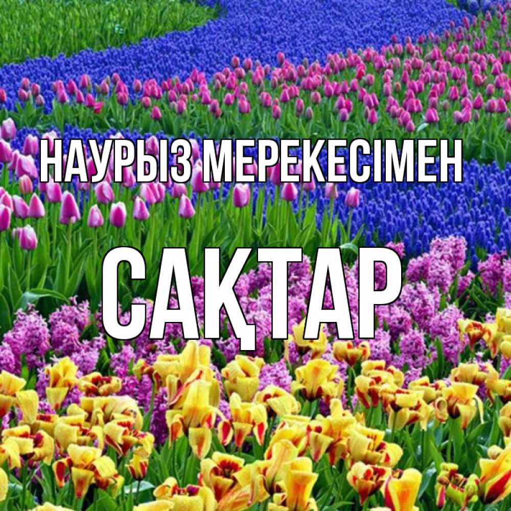 Күн сайын ашық хат с именем, САҚТАР Наурыз мерекесімен цветы Онлайн тегін жүктеп алу тілектері бар керемет карта 