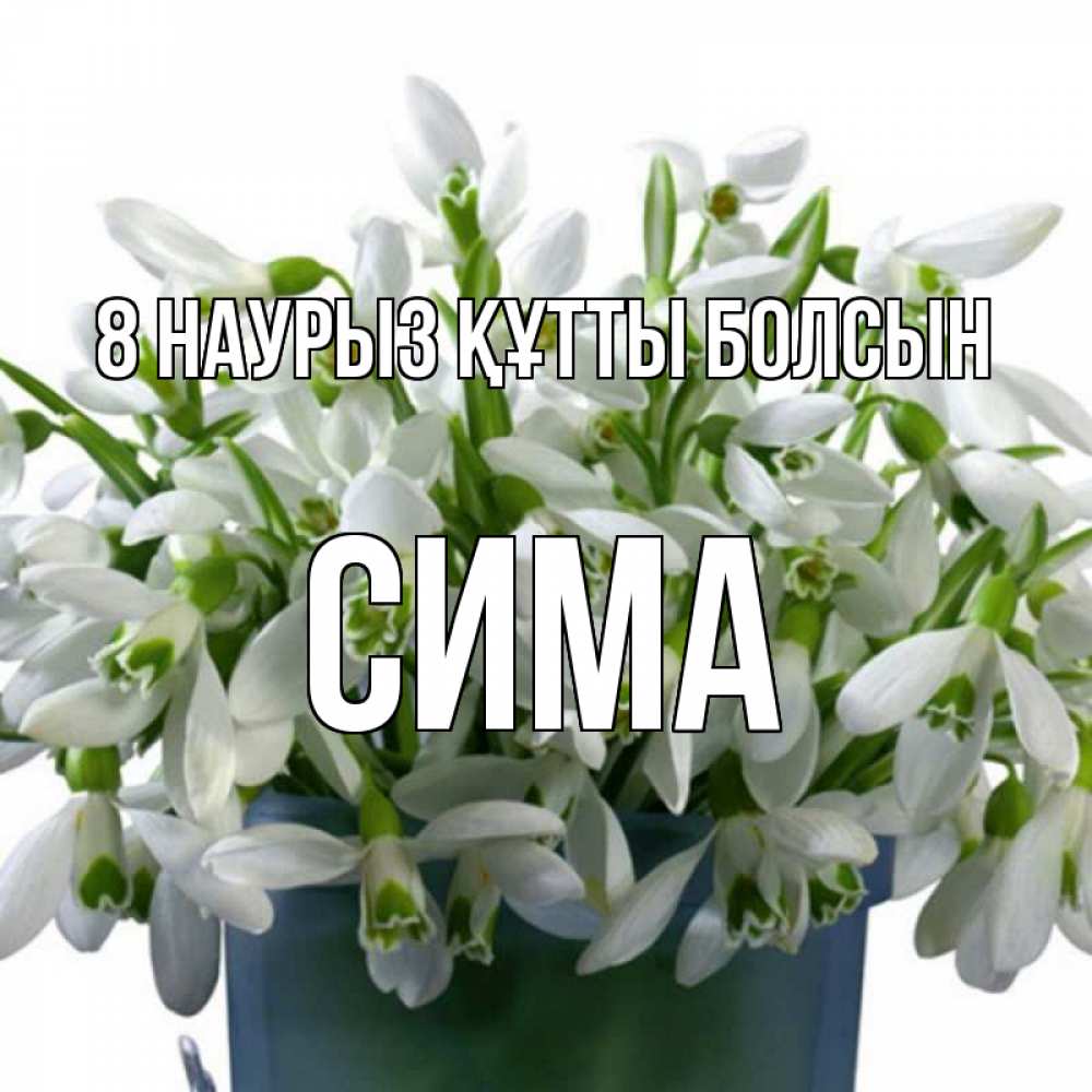 Күн сайын ашық хат с именем, Сима 8 наурыз құтты болсын цветы к международному женскому дню Онлайн тегін жүктеп алу тілектері бар керемет карта 