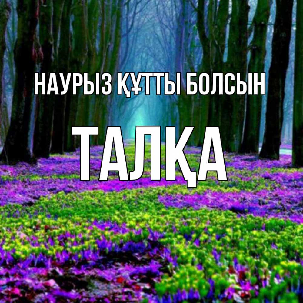 Күн сайын ашық хат с именем, ТАЛҚА Наурыз құтты болсын фиолетовые цветы в лесу 1 Онлайн тегін жүктеп алу тілектері бар керемет карта 