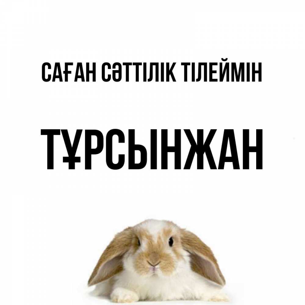 Күн сайын ашық хат с именем, ТҰРСЫНЖАН Саған сәттілік тілеймін открытки с произвольным текстом который можно вставить в открытку и создать ее самостоятельно бесплатно онлайн Онлайн тегін жүктеп алу тілектері бар керемет карта 