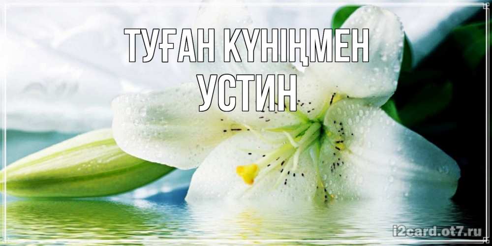 Күн сайын ашық хат с именем, Устин Туған күніңмен лилия на открытке ко дню рождения Онлайн тегін жүктеп алу тілектері бар керемет карта 