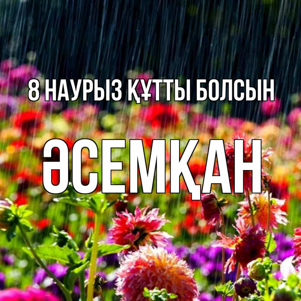 Күн сайын ашық хат с именем, ӘСЕМҚАН 8 наурыз құтты болсын цветы под дождиком к международному женскому дню Онлайн тегін жүктеп алу тілектері бар керемет карта 