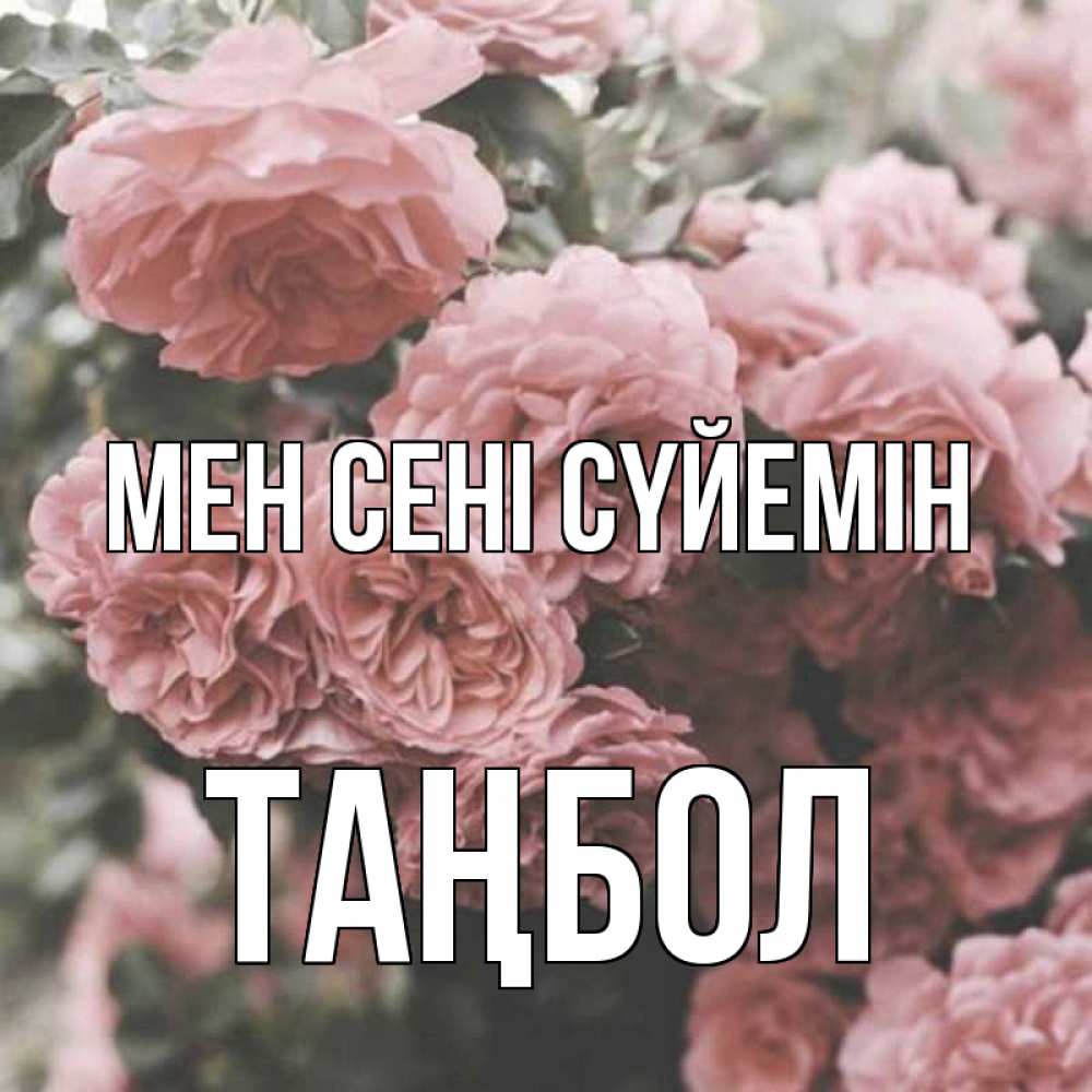 Күн сайын ашық хат с именем, ТАҢБОЛ Мен сені сүйемін розы 3 Онлайн тегін жүктеп алу тілектері бар керемет карта 