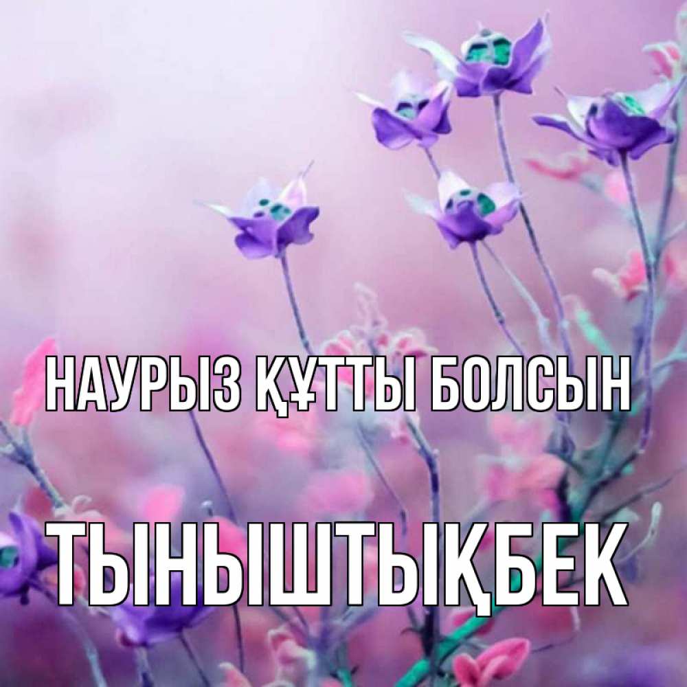 Күн сайын ашық хат с именем, ТЫНЫШТЫҚБЕК Наурыз құтты болсын наурыз  2 Онлайн тегін жүктеп алу тілектері бар керемет карта 