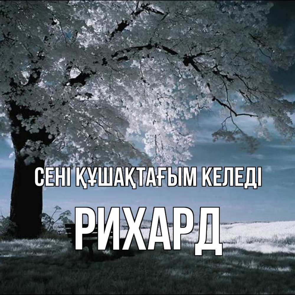 Күн сайын ашық хат с именем, Рихард сені құшақтағым келеді дерево Онлайн тегін жүктеп алу тілектері бар керемет карта 