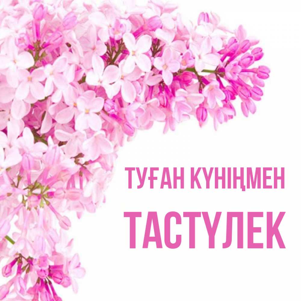 Күн сайын ашық хат с именем, ТАСТҮЛЕК Туған күніңмен Сирень на белом фоне Онлайн тегін жүктеп алу тілектері бар керемет карта 