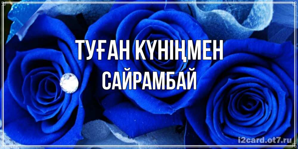 Күн сайын ашық хат с именем, САЙРАМБАЙ Туған күніңмен синие розы в росе Онлайн тегін жүктеп алу тілектері бар керемет карта 