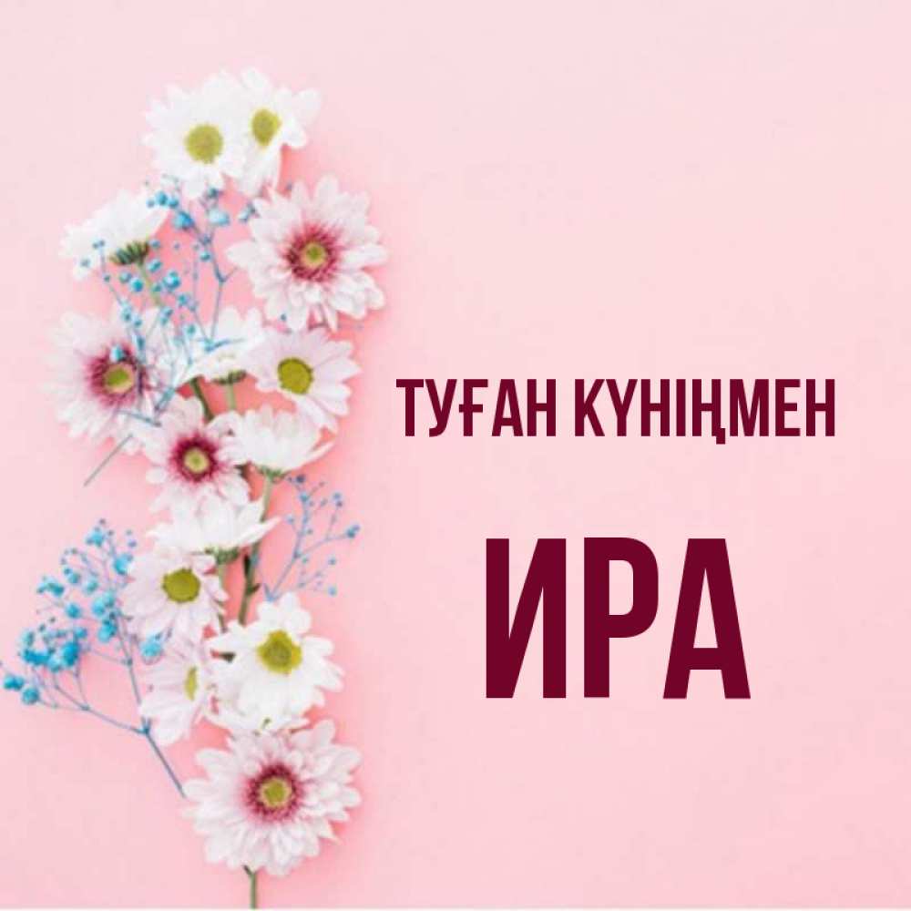 Күн сайын ашық хат с именем, Ира Туған күніңмен Родная моя с днем рождения тебя картинка с цветами белыми и голубыми Онлайн тегін жүктеп алу тілектері бар керемет карта 
