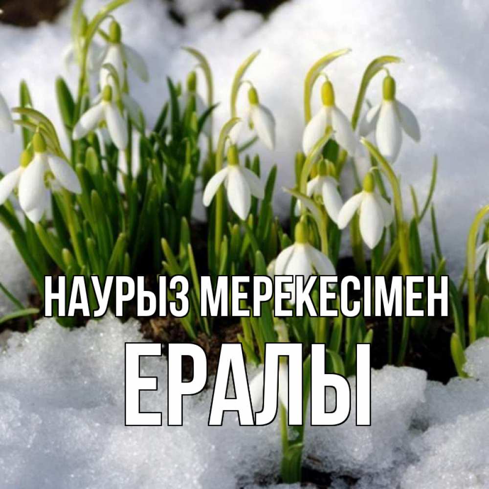 Күн сайын ашық хат с именем, Ералы Наурыз мерекесімен цветы весенние Онлайн тегін жүктеп алу тілектері бар керемет карта 