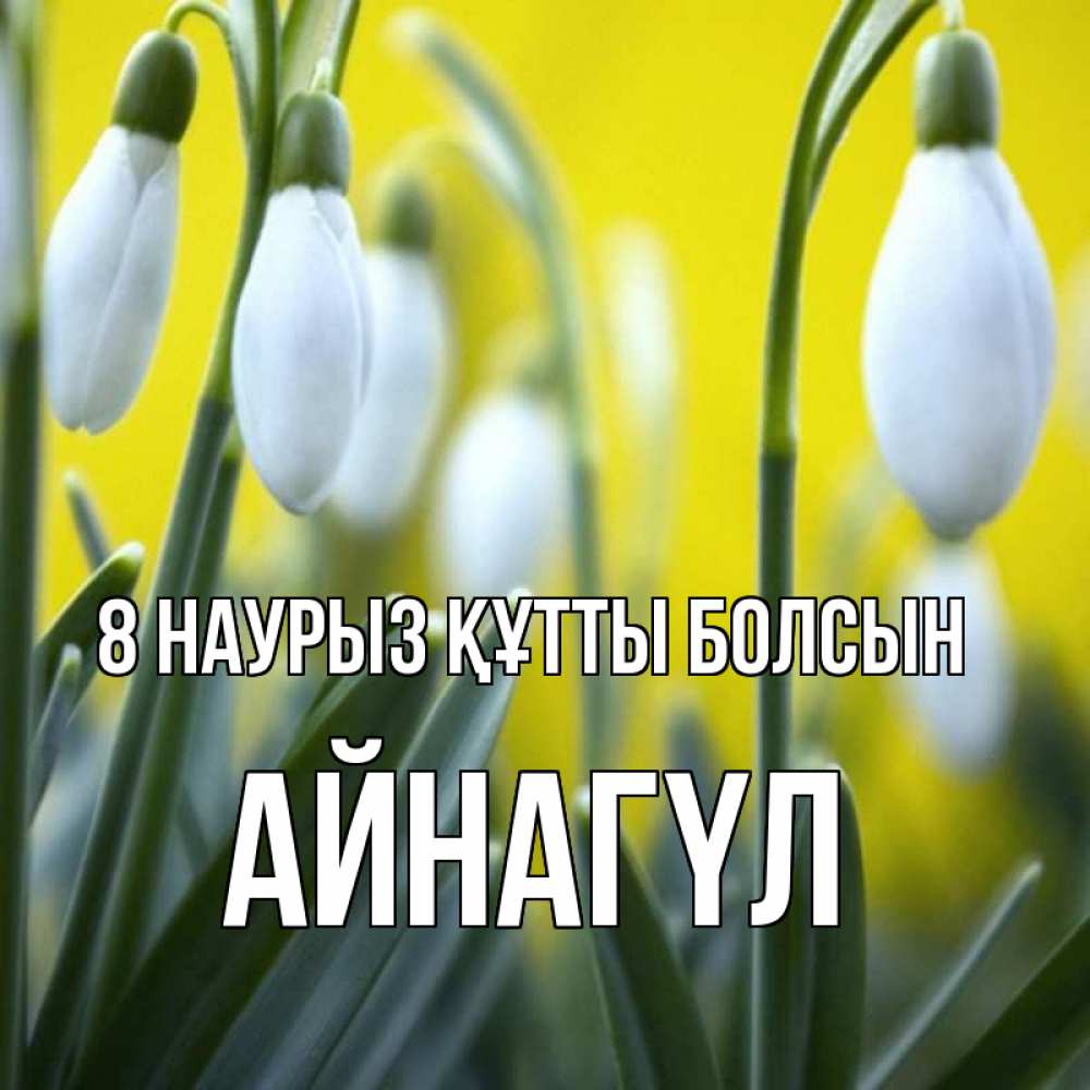 Күн сайын ашық хат с именем, АЙНАГҮЛ 8 наурыз құтты болсын весенние цветы Онлайн тегін жүктеп алу тілектері бар керемет карта 