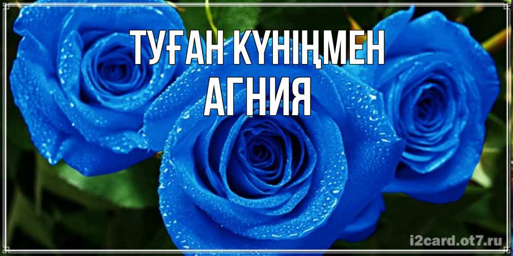 Күн сайын ашық хат с именем, Агния Туған күніңмен розы с синим цветом Онлайн тегін жүктеп алу тілектері бар керемет карта 