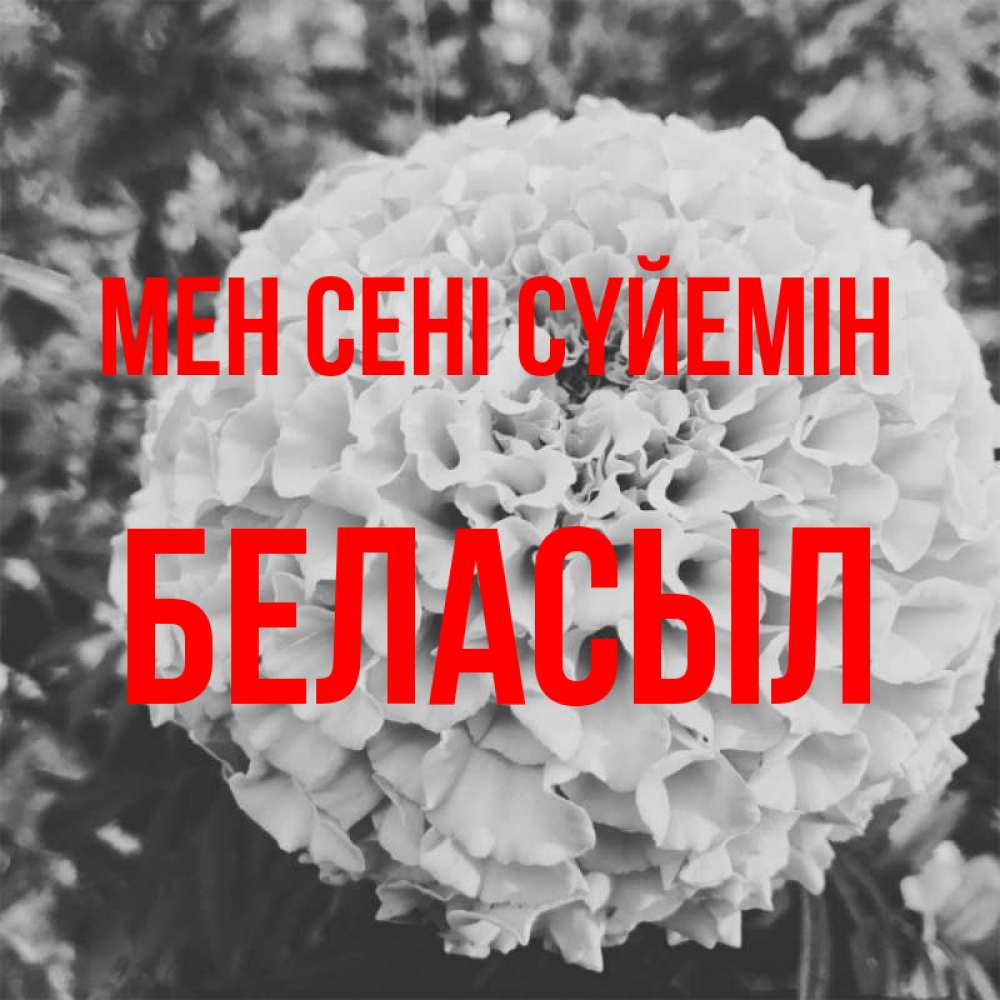 Күн сайын ашық хат с именем, Беласыл Мен сені сүйемін подпись Онлайн тегін жүктеп алу тілектері бар керемет карта 