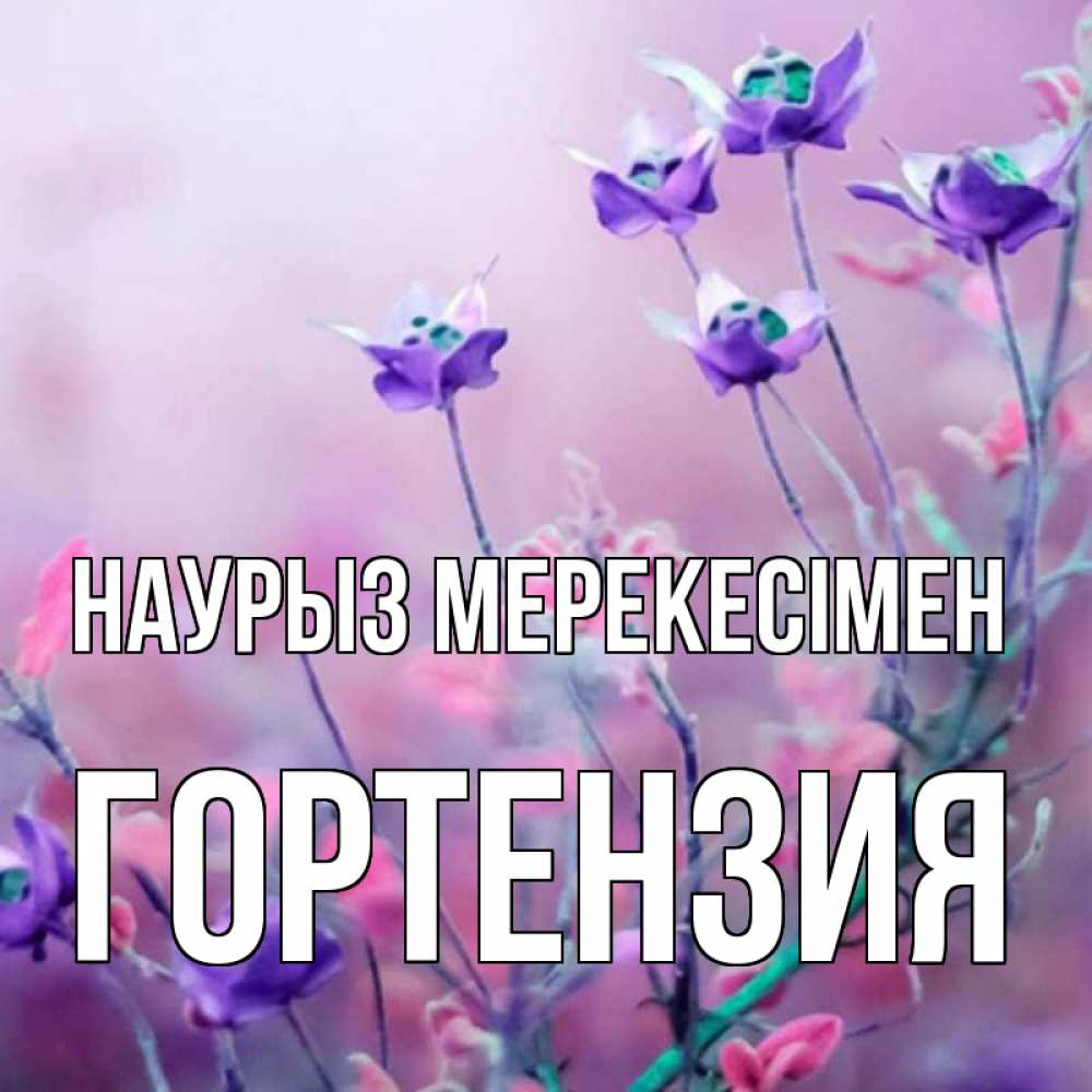 Күн сайын ашық хат с именем, Гортензия Наурыз мерекесімен международный женский день 2 Онлайн тегін жүктеп алу тілектері бар керемет карта 