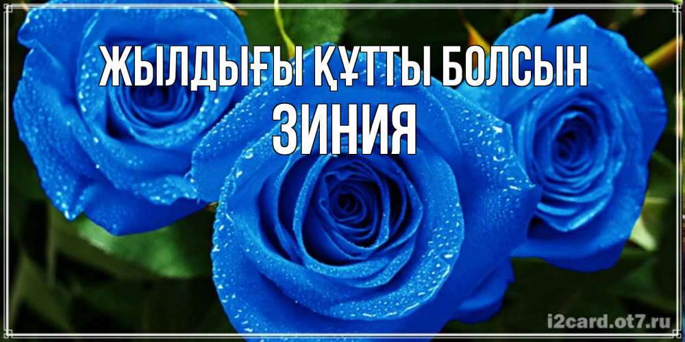 Күн сайын ашық хат с именем, ЗИНИЯ Жылдығы құтты болсын розы с синим цветом Онлайн тегін жүктеп алу тілектері бар керемет карта 